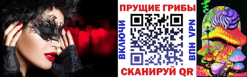 Псилоцибиновые грибы ЛСД  купить   omg tor  Хотьково 